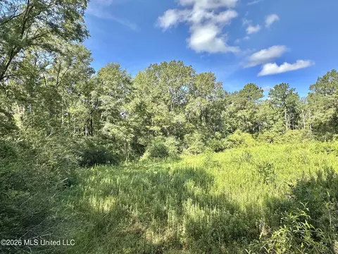2 Dry Creek Rd, Magee, MS 39111 photo 8