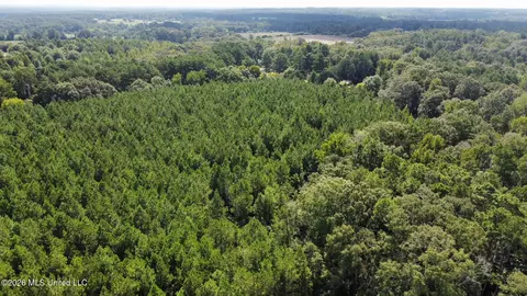 2 Dry Creek Rd, Magee, MS 39111 photo 17