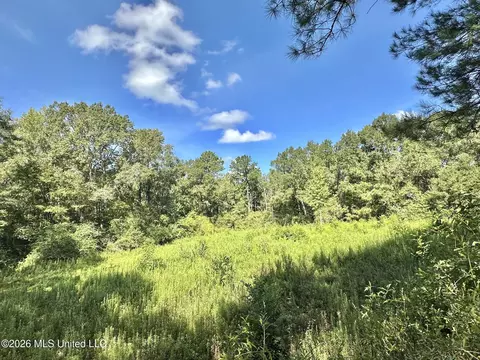 2 Dry Creek Rd, Magee, MS 39111 photo 7
