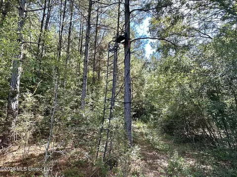 2 Dry Creek Rd, Magee, MS 39111 photo 9