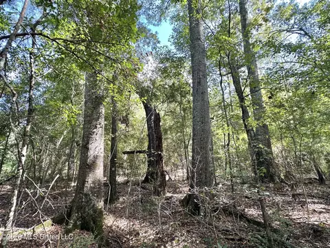 2 Dry Creek Rd, Magee, MS 39111 photo 11