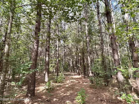 2 Dry Creek Rd, Magee, MS 39111 photo 2