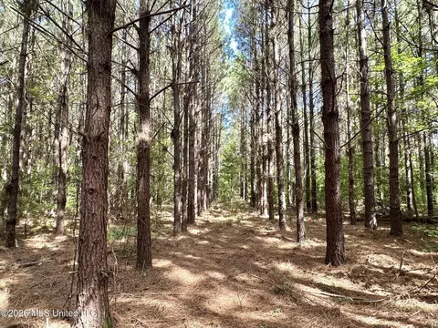2 Dry Creek Rd, Magee, MS 39111 photo 5
