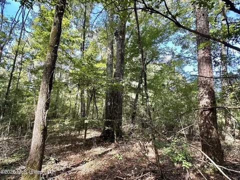 2 Dry Creek Rd, Magee, MS 39111 photo 10