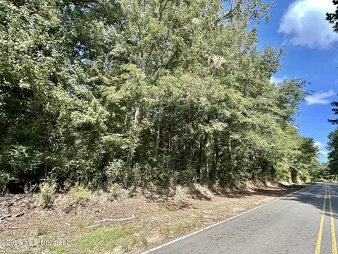 3 Dry Creek Rd, Magee, MS 39111 photo 7