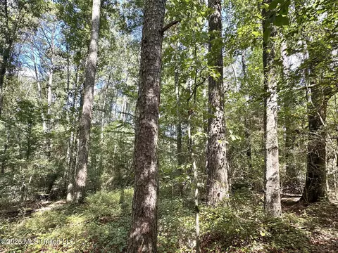 3 Dry Creek Rd, Magee, MS 39111 photo 5