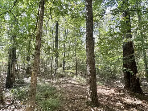 3 Dry Creek Rd, Magee, MS 39111 photo 4