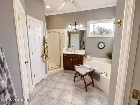 Bath - 6333 Carson Dr, Olive Branch, MS 38654 photo 3 of 4
