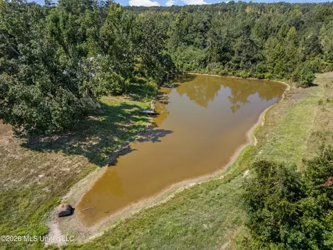 View/Area - 83 County Road 523, Como, MS 38619 photo 3 of 8