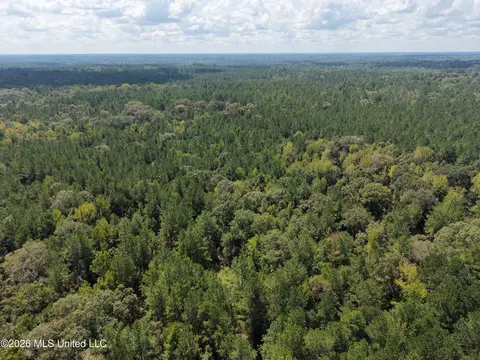 1059 Candy Ln, Mccomb, MS 39648 photo 15