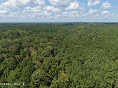 1059 Candy Ln, Mccomb, MS 39648 photo 7