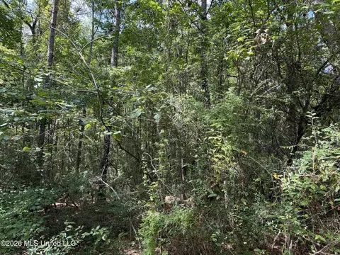 1059 Candy Ln, Mccomb, MS 39648 photo 26
