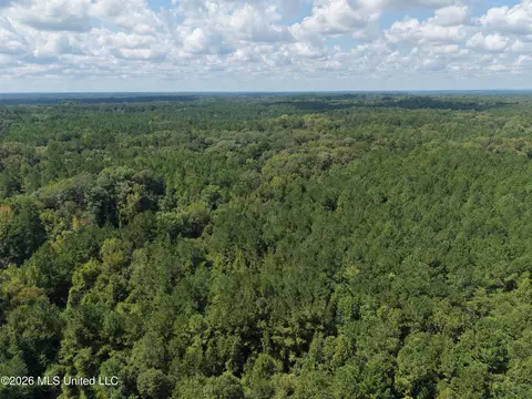 1059 Candy Ln, Mccomb, MS 39648 photo 6