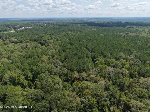1059 Candy Ln, Mccomb, MS 39648 photo 17