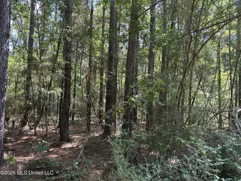 1059 Candy Ln, Mccomb, MS 39648 photo 22