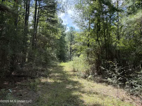 1059 Candy Ln, Mccomb, MS 39648 photo 21