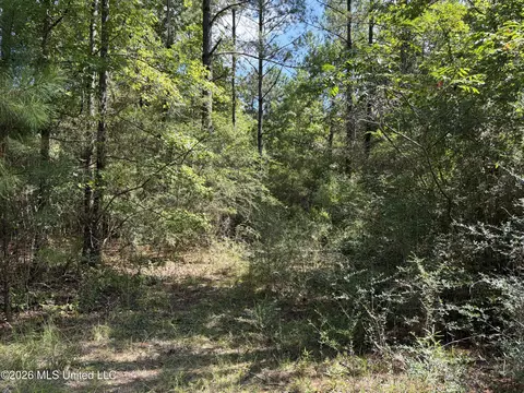 1059 Candy Ln, Mccomb, MS 39648 photo 23
