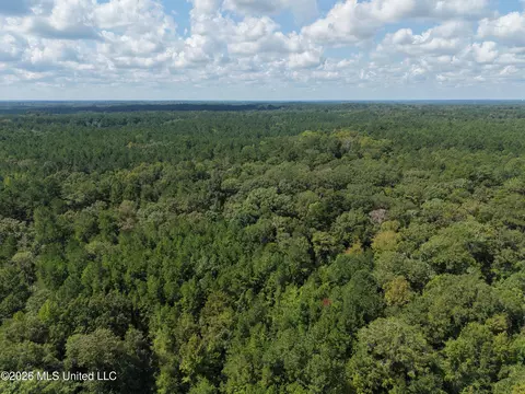 1059 Candy Ln, Mccomb, MS 39648 photo 8