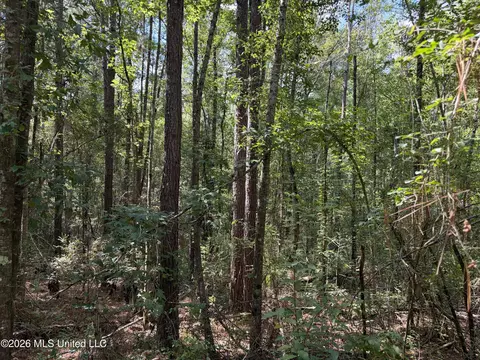 1059 Candy Ln, Mccomb, MS 39648 photo 28