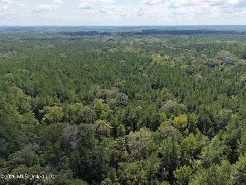 1059 Candy Ln, Mccomb, MS 39648 photo 12