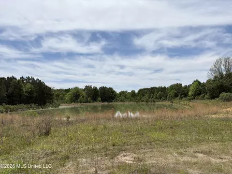 Finney Road, Canton, MS 39046 photo 10