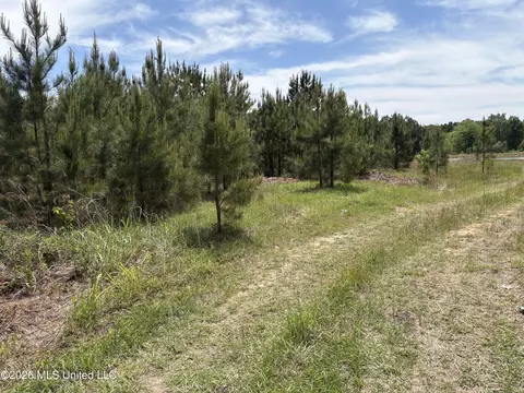 Finney Road, Canton, MS 39046 photo 8