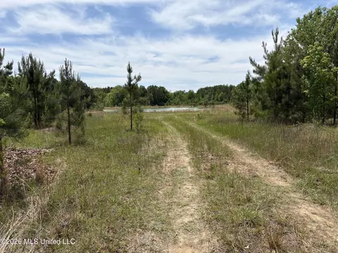 Finney Road, Canton, MS 39046 photo 3
