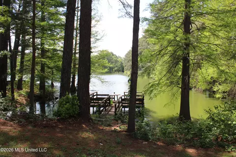 View/Area - 220 Flushing Cv, Hernando, MS 38632 photo 1 of 2