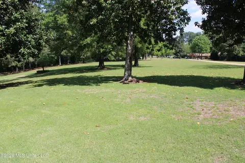 Exterior - 220 Flushing Cv, Hernando, MS 38632 photo 7 of 10