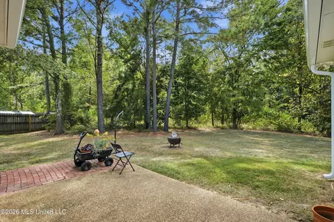 Exterior - 131 Ashton Dr, Brandon, MS 39047 photo 6 of 8