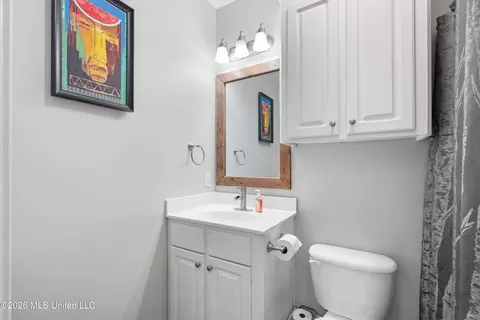Bath - 131 Ashton Dr, Brandon, MS 39047 photo 3 of 3