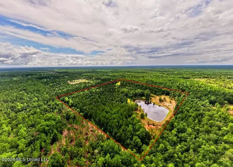 Wire Road, Vancleave, MS 39565 photo 3