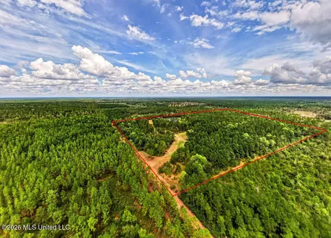 Wire Road, Vancleave, MS 39565 photo 4
