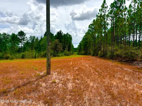 Wire Road, Vancleave, MS 39565 photo 25
