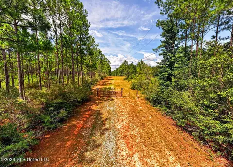 Wire Road, Vancleave, MS 39565 photo 13