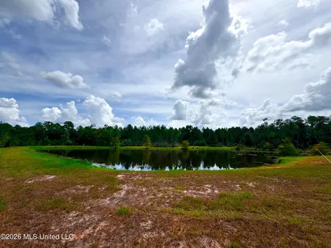 Wire Road, Vancleave, MS 39565 photo 16