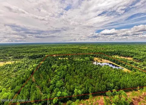 Wire Road, Vancleave, MS 39565 photo 7