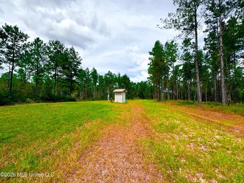 Wire Road, Vancleave, MS 39565 photo 22