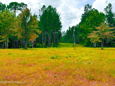 Wire Road, Vancleave, MS 39565 photo 18