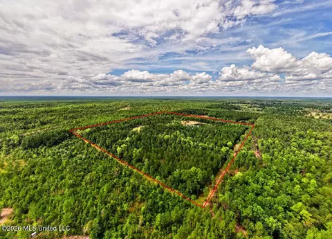 Wire Road, Vancleave, MS 39565 photo 6