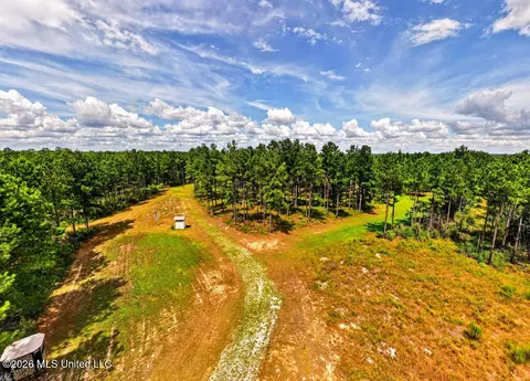 Wire Road, Vancleave, MS 39565 photo 12