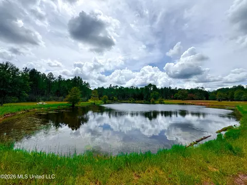 Wire Road, Vancleave, MS 39565 photo 20