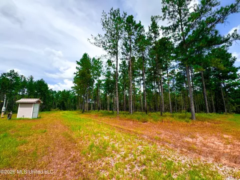 Wire Road, Vancleave, MS 39565 photo 23
