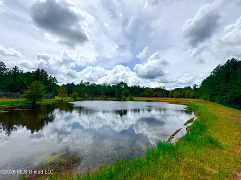 Wire Road, Vancleave, MS 39565 photo 21