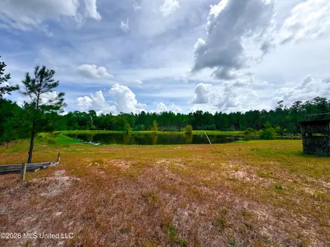 Wire Road, Vancleave, MS 39565 photo 15