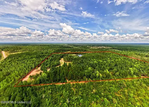 Wire Road, Vancleave, MS 39565 photo 5