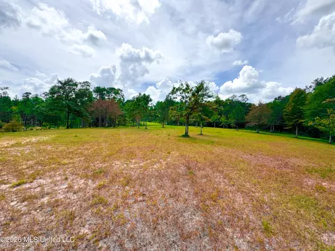Wire Road, Vancleave, MS 39565 photo 14