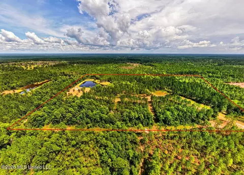 Wire Road, Vancleave, MS 39565 photo 9