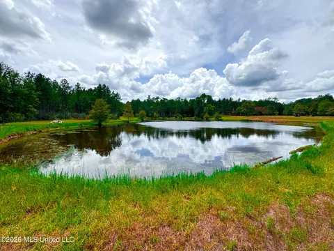 Wire Road, Vancleave, MS 39565 photo 19