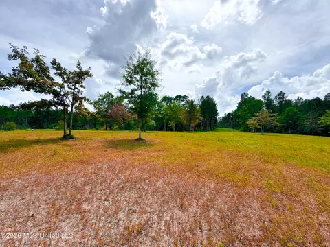 Wire Road, Vancleave, MS 39565 photo 17